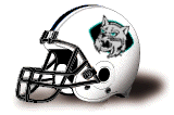 Florida Bobcats helmet