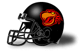 Indiana Firebirds helmet