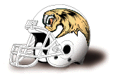 San Jose Sabrecats helmet
