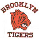 Brooklyn Tigers helmet