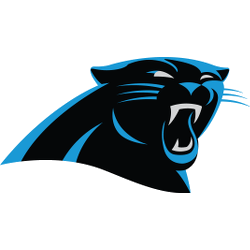 Carolina Panthers helmet