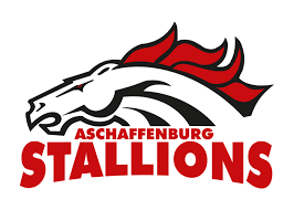 Aschaffenburg Stallions helmet