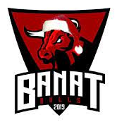 Pancevo Banat Bulls helmet