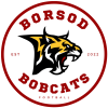 Borsod Bobcats helmet