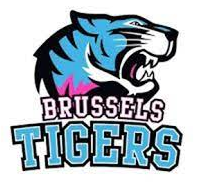Brussels Tigers helmet