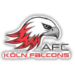 Cologne Falcons helmet