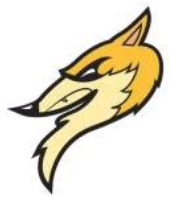 Kaposvar Golden Fox helmet