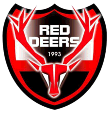 Ankara Hacettepe Red Deers helmet