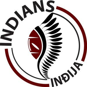Indjija Indians helmet
