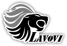 Vrsac Lions helmet