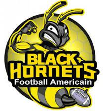 Le Coteau Black Hornets helmet