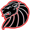 Braunschweig Lions helmet