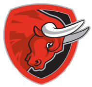 Salzburg Bulls helmet
