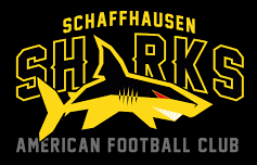 Schaffhausen Sharks helmet