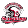 Stuttgart Scorpions helmet