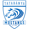 Tatabanya Mustangs helmet