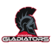 Vysocina Gladiators helmet