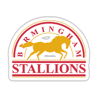 Birmingham Stallions helmet