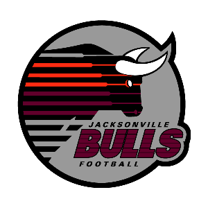 Jacksonville Bulls helmet