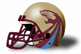 Michigan Panthers helmet