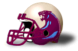 Michigan Panthers helmet