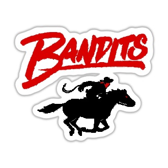 Tampa Bay Bandits helmet